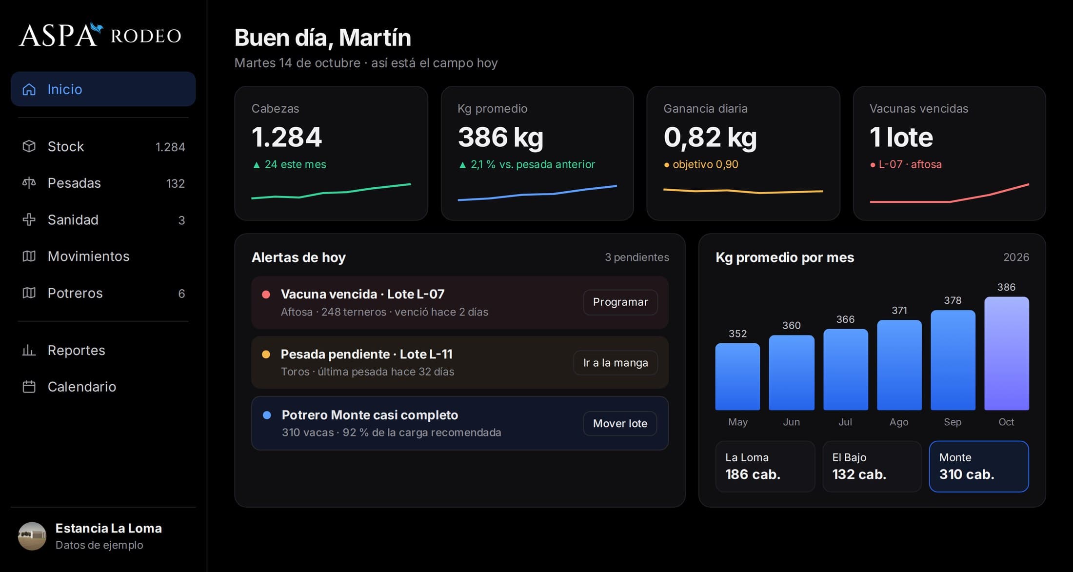 Panel de inicio de Aspa Rodeo, datos de ejemplo